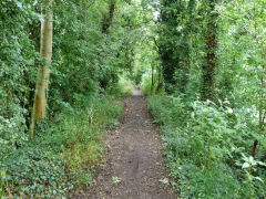 
Tredegar Park Tramroad, From the Bridge to the Sirhowy Tramroad, August 2012